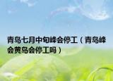 青岛七月中旬峰会停工（青岛峰会黄岛会停工吗）