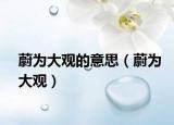 蔚为大观的意思（蔚为大观）