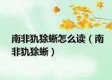 南非犰狳蜥怎么读（南非犰狳蜥）