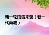 新一轮雨雪来袭（新一代商城）