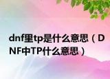 dnf里tp是什么意思（DNF中TP什么意思）