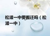 松滋一中要搬迁吗（松滋一中）