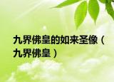 九界佛皇的如来圣像（九界佛皇）