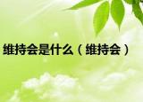 维持会是什么（维持会）