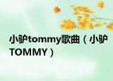 小驴tommy歌曲（小驴TOMMY）