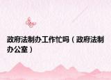 政府法制办工作忙吗（政府法制办公室）