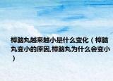 樟脑丸越来越小是什么变化（樟脑丸变小的原因,樟脑丸为什么会变小）