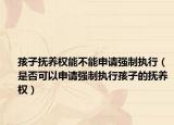 孩子抚养权能不能申请强制执行（是否可以申请强制执行孩子的抚养权）