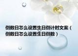 倒数日怎么设置生日倒计时文案（倒数日怎么设置生日倒数）