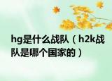 hg是什么战队（h2k战队是哪个国家的）