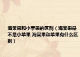 海棠果和小苹果的区别（海棠果是不是小苹果 海棠果和苹果有什么区别）