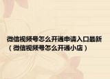 微信视频号怎么开通申请入口最新（微信视频号怎么开通小店）
