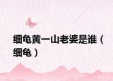 细龟黄一山老婆是谁（细龟）