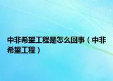 中非希望工程是怎么回事（中非希望工程）