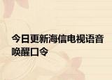 今日更新海信电视语音唤醒口令