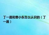 丁一晨和曹小东怎么认识的（丁一晨）