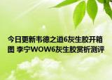 今日更新韦德之道6灰生胶开箱图 李宁WOW6灰生胶赏析测评