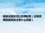 担保法规定可以质押的有（适用质押担保时要注意什么问题）