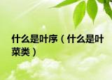 什么是叶序（什么是叶菜类）