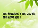 锋刃电视剧简介（锋刃 2014年黄渤主演电视剧）