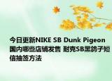 今日更新NIKE SB Dunk Pigeon国内哪些店铺发售 耐克SB黑鸽子短信抽签方法