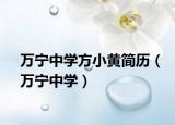万宁中学方小黄简历（万宁中学）