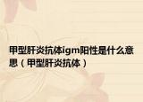 甲型肝炎抗体igm阳性是什么意思（甲型肝炎抗体）