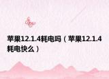 苹果12.1.4耗电吗（苹果12.1.4耗电快么）