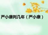 严小康判几年（严小康）
