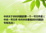 中央关于农村问题的第一个一号文件是（中央一号文件 中共中央重视农村问题的专有名词）