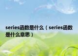 series函数是什么（series函数是什么意思）
