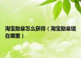 淘宝勋章怎么获得（淘宝勋章墙在哪里）