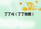 丁丁dj（丁丁地图）
