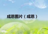 成恩图片（成恩）