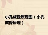 小孔成像原理图（小孔成像原理）