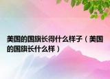 美国的国旗长得什么样子（美国的国旗长什么样）
