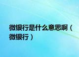 微银行是什么意思啊（微银行）