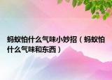 蚂蚁怕什么气味小妙招（蚂蚁怕什么气味和东西）