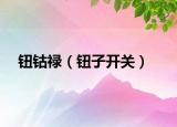 钮钴禄（钮子开关）