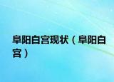 阜阳白宫现状（阜阳白宫）