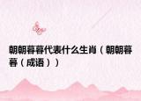 朝朝暮暮代表什么生肖（朝朝暮暮（成语））