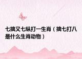 七擒又七纵打一生肖（擒七打八是什么生肖动物）