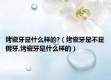 烤瓷牙是什么样的?（烤瓷牙是不是假牙,烤瓷牙是什么样的）