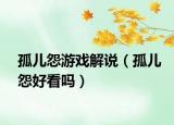 孤儿怨游戏解说（孤儿怨好看吗）
