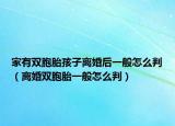 家有双胞胎孩子离婚后一般怎么判（离婚双胞胎一般怎么判）