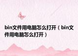 bin文件用电脑怎么打开（bin文件用电脑怎么打开）