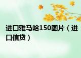 进口雅马哈150图片（进口信贷）