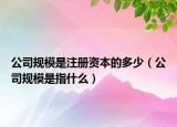 公司规模是注册资本的多少（公司规模是指什么）