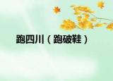 跑四川（跑破鞋）