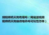 阴阳师鸦天狗有用吗（网易游戏阴阳师鸦天狗值得培养吗可玩性怎样）